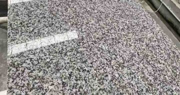 宝鸡 芙蓉白光面