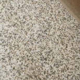 宝鸡 黄金麻中黄光面