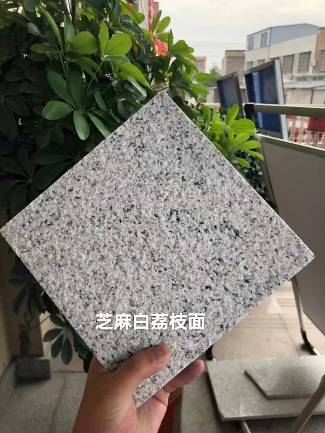 宝鸡 芝麻白荔枝面干挂