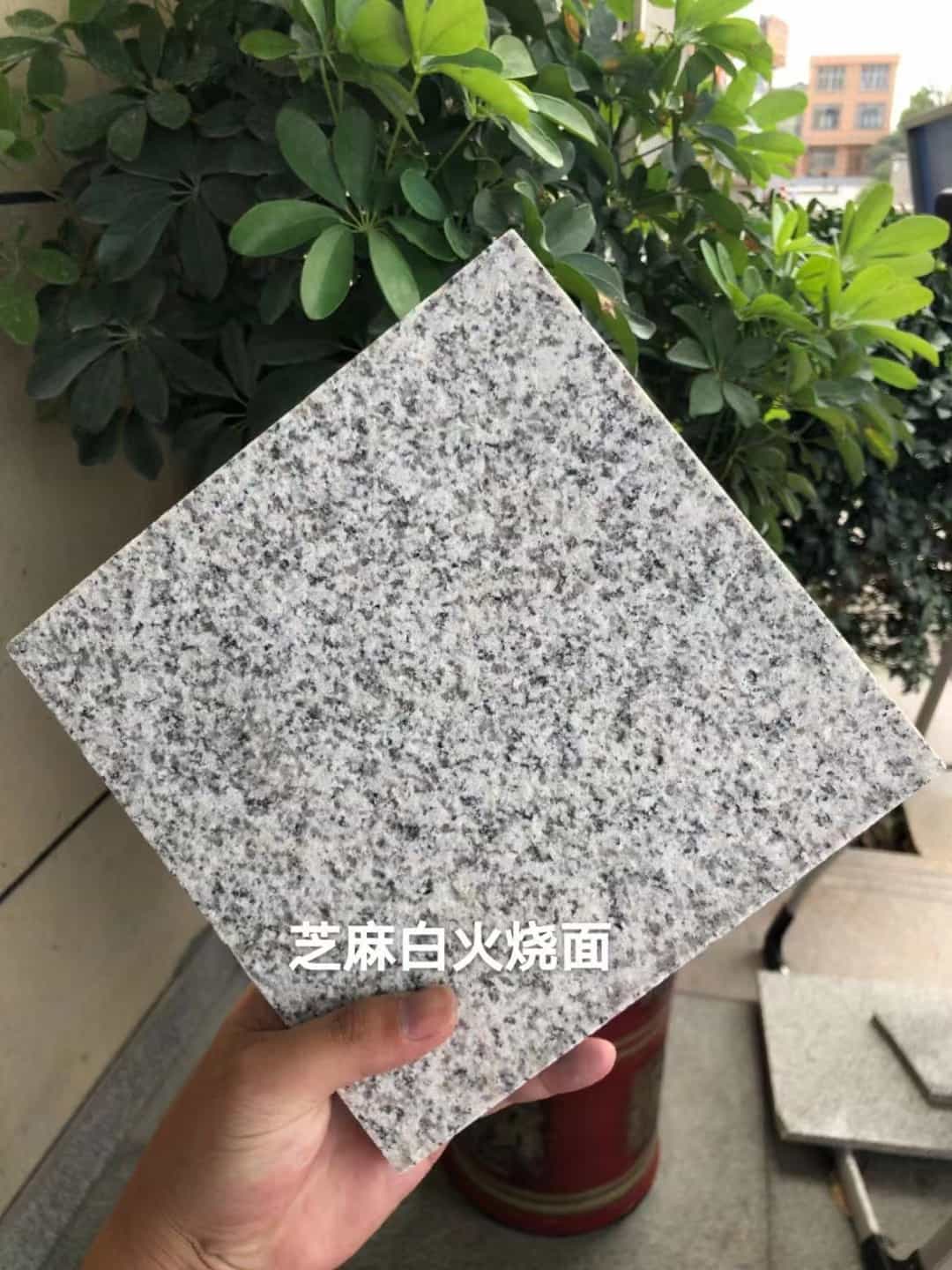 宝鸡芝麻白火烧面地铺
