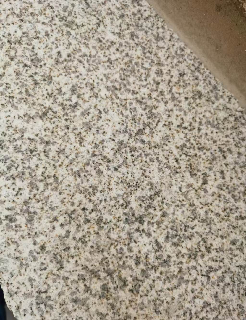 宝鸡 黄金麻中黄光面